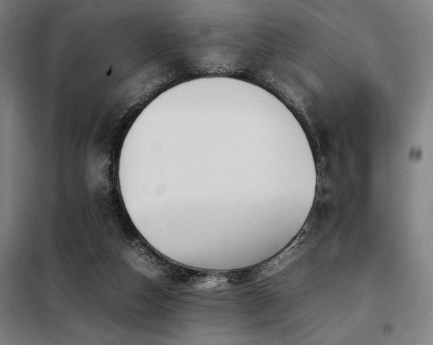 X0000098100162200804041252