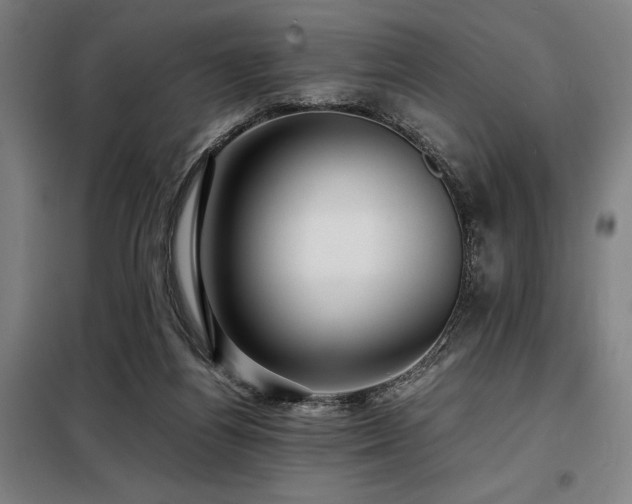 X0000098100164200804041252