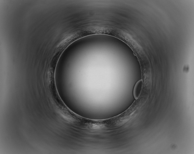 X0000098100165200804041252