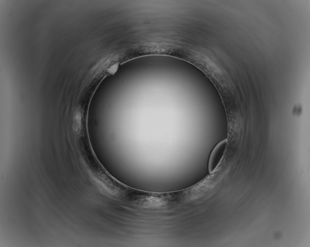 X0000098100166200804041252