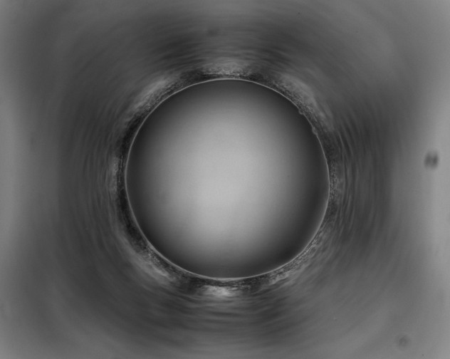 X0000098100167200804041252