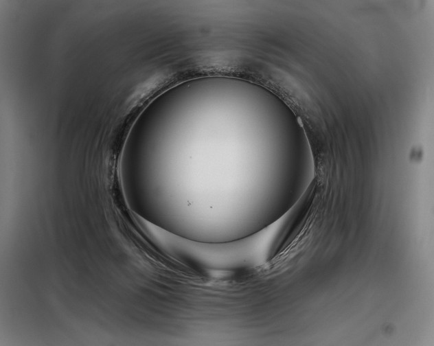 X0000098100168200804041252