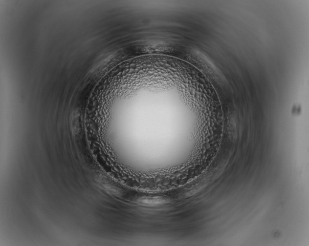 X0000098100169200804041252