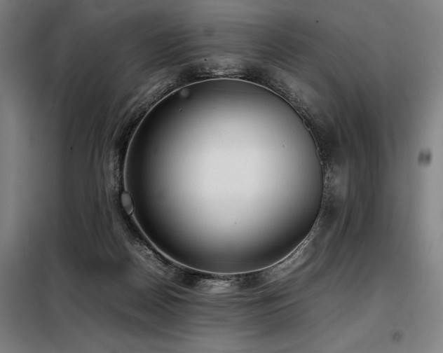 X0000098100170200804041252