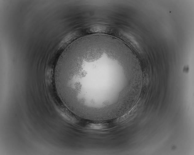 X0000098100171200804041252