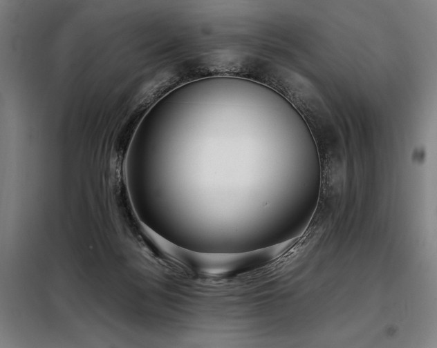 X0000098100172200804041252