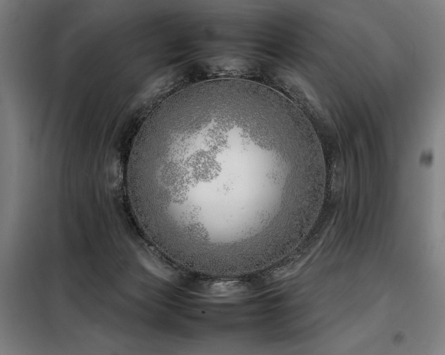 X0000098100173200804041252