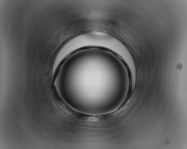 X0000098100176200804041252