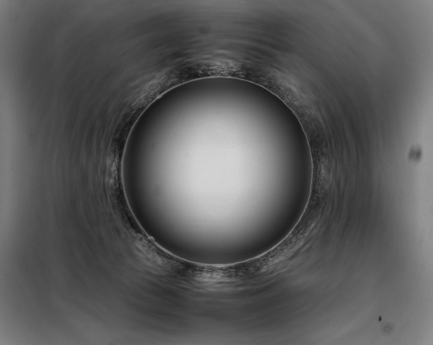 X0000098100177200804041252