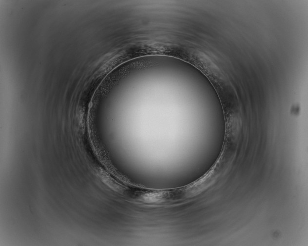 X0000098100178200804041252