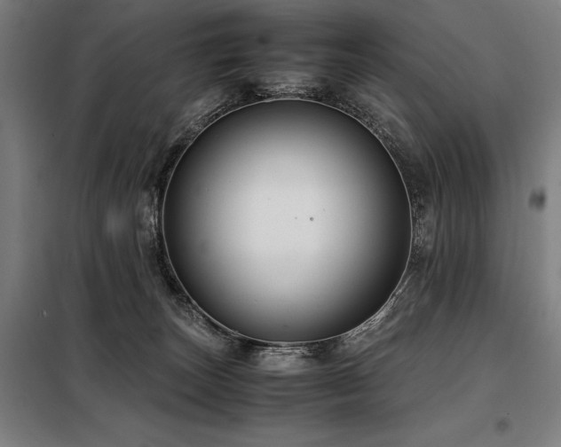 X0000098100179200804041252
