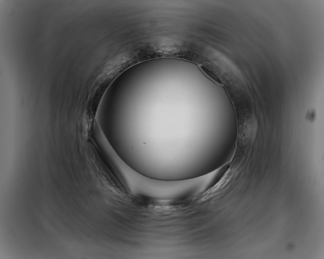 X0000098100180200804041252