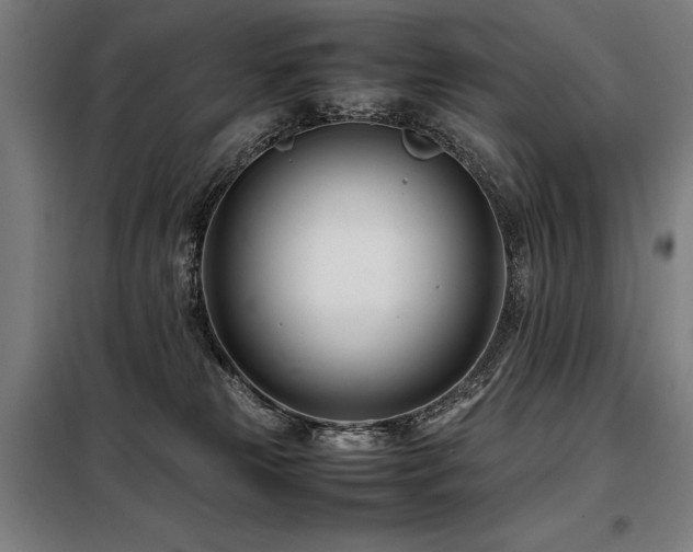 X0000098100181200804041252