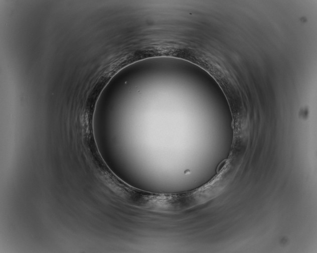 X0000098100182200804041252