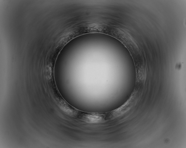 X0000098100183200804041252