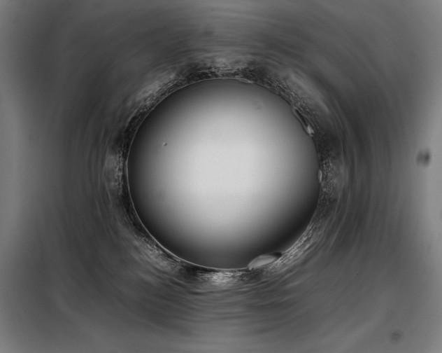 X0000098100184200804041252