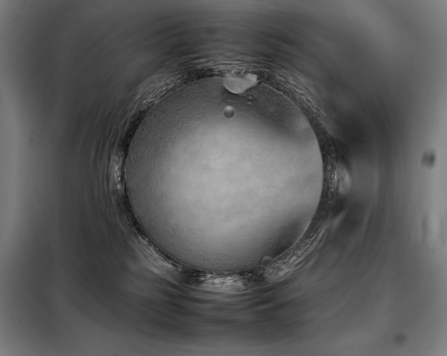X0000098100185200804041252
