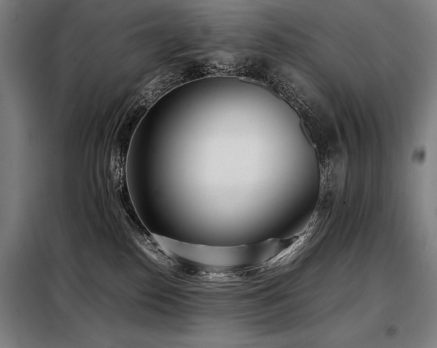 X0000098100186200804041252