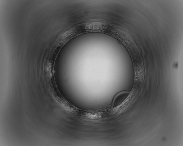 X0000098100187200804041252
