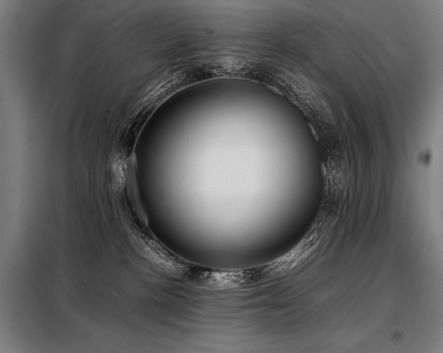 X0000098100188200804041252