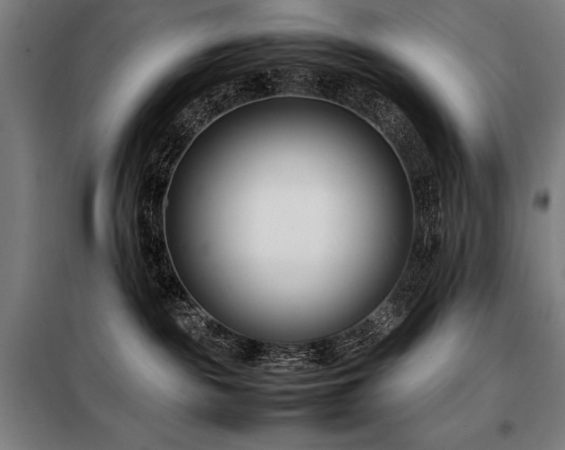 X0000098100189200804041252