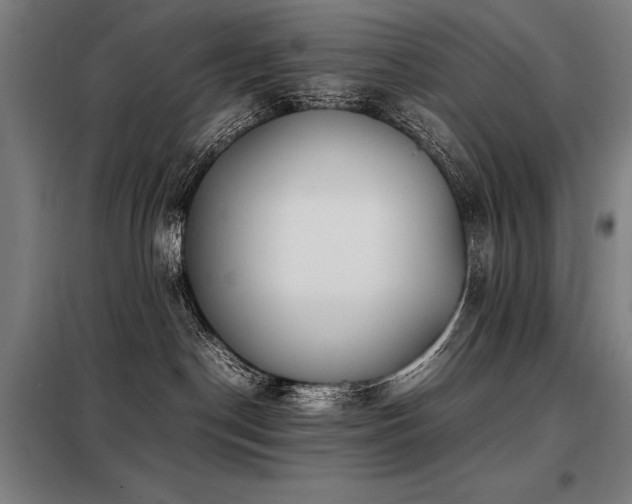 X0000098100190200804041252