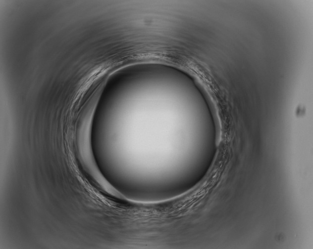 X0000098100193200804041252