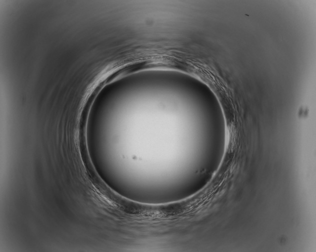 X0000098100195200804041252