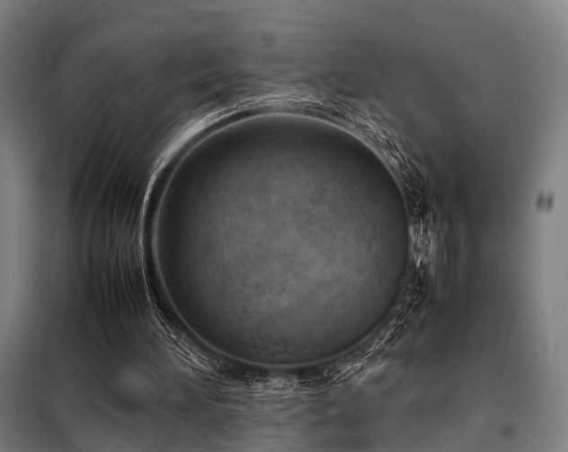 X0000098100196200804041252