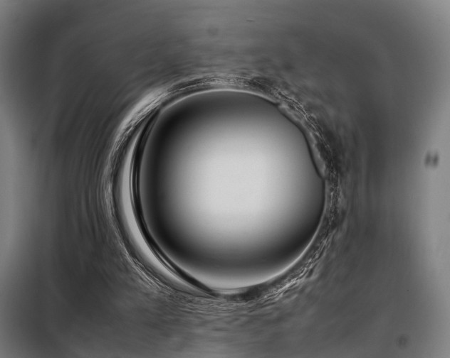 X0000098100197200804041252