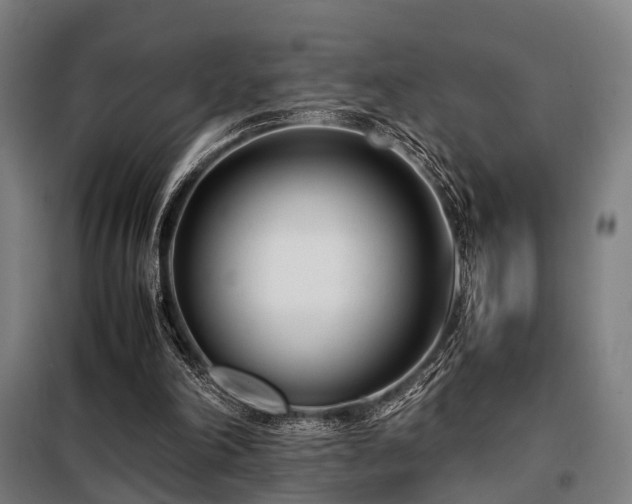 X0000098100198200804041252
