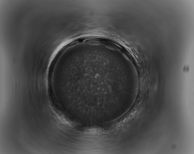 X0000098100200200804041252