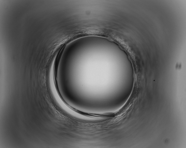 X0000098100201200804041252