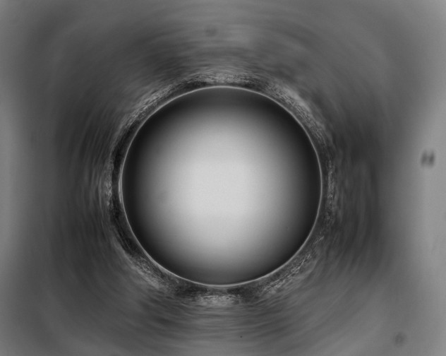 X0000098100202200804041252