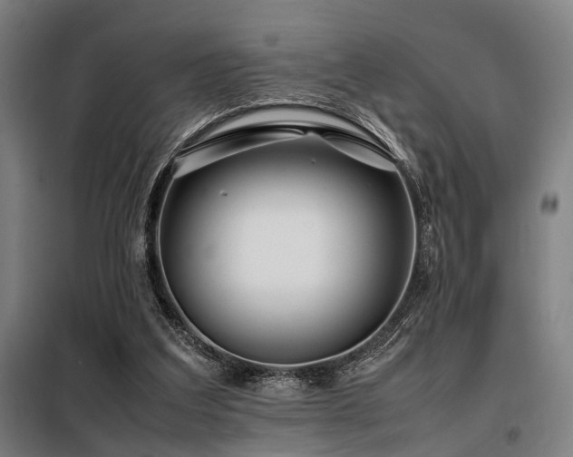 X0000098100203200804041252