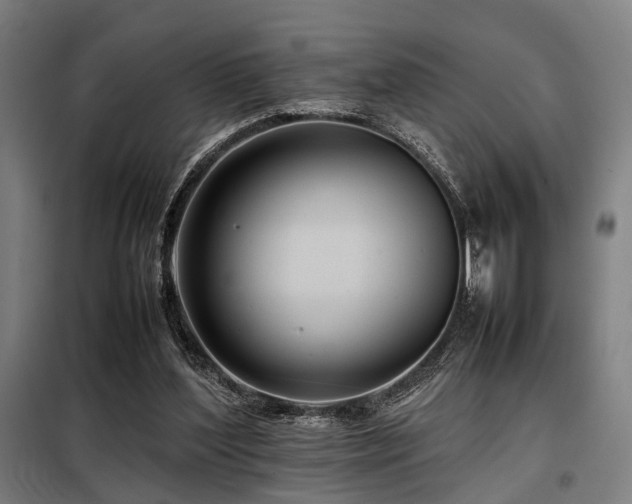 X0000098100204200804041252