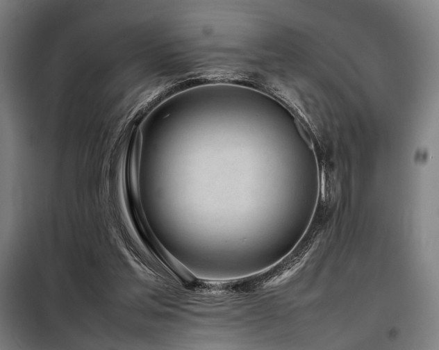 X0000098100205200804041252