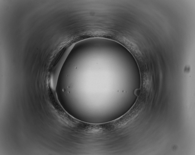 X0000098100206200804041252