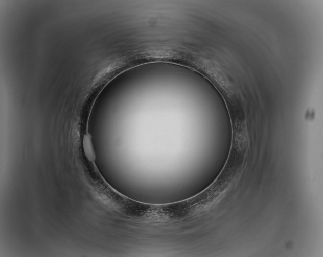 X0000098100207200804041252