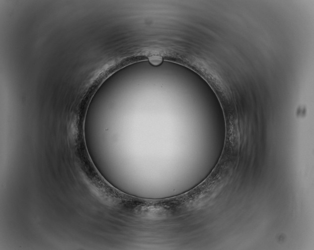 X0000098100208200804041252