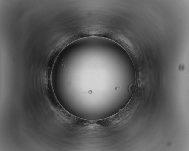 X0000098100210200804041251