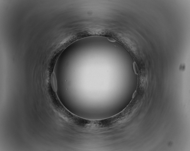 X0000098100211200804041251