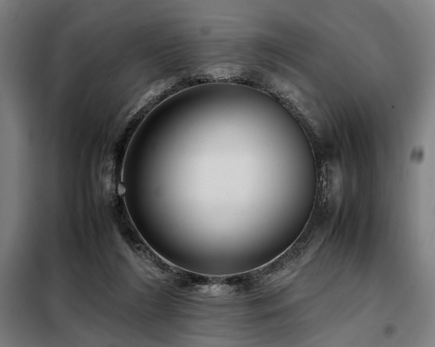 X0000098100212200804041251