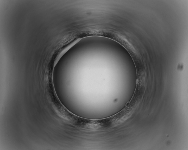 X0000098100213200804041251