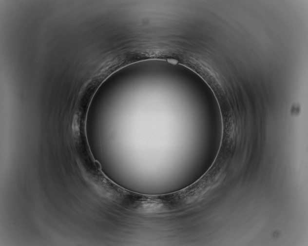 X0000098100214200804041251