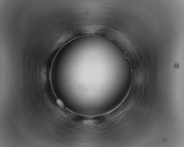X0000098100216200804041251
