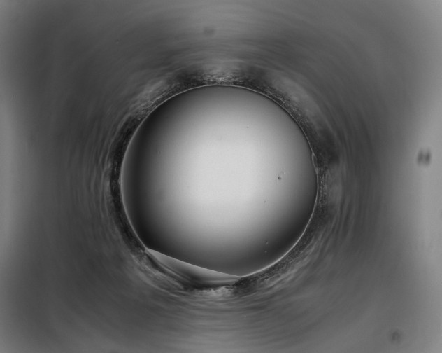 X0000098100217200804041251