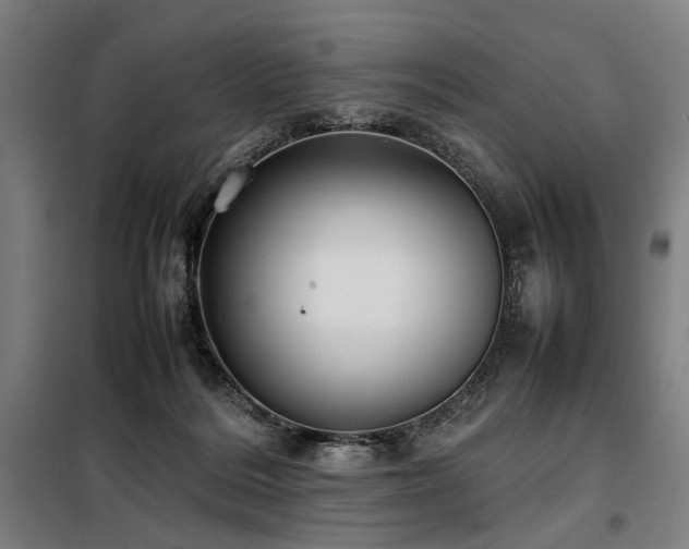 X0000098100220200804041251