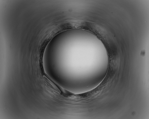 X0000098100221200804041251