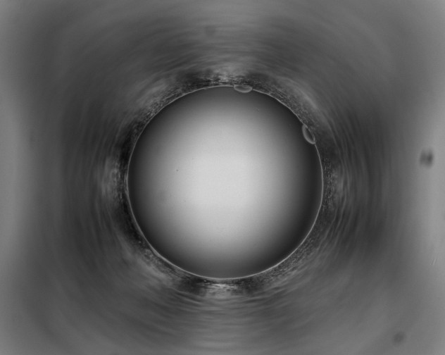 X0000098100222200804041251